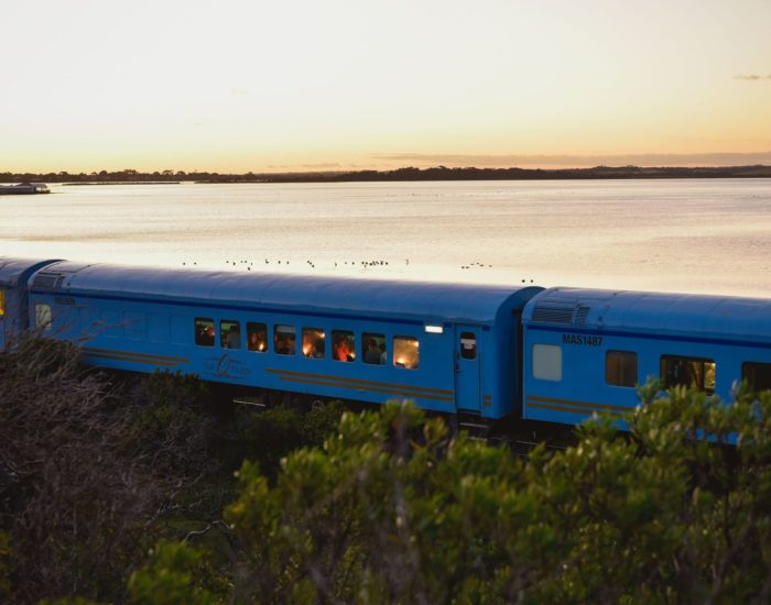 The Q Train Geelong - Feed Digital
